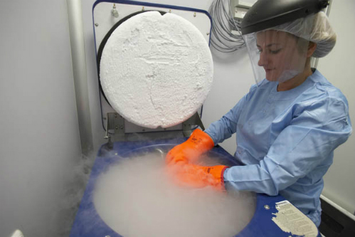 Bồn nittơ lỏng để đông lạnh bộ phận cơ thể. Ảnh: AFP