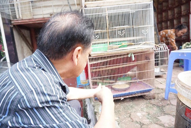 Những ngày tháng 7 âm lịch (tháng cô hồn) nhiều người tìm đến khu phố Hoàng Hoa Thám, Hà Nội tìm mua chim phóng sinh.
