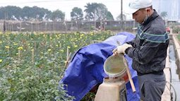 Việt Nam có tỷ lệ sử dụng thuốc bảo vệ thực vật cao
