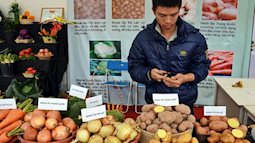 Đọc ngay vì có thể bạn đang dùng nông sản của 17 cơ sở kinh doanh hàng Trung Quốc tại Đà Lạt