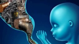  Nhà khoa học đưa ra lời cảnh báo khi lần đầu tiên phát hiện chất độc hại trong nhau thai