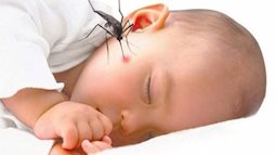 Nhận biết và xử trí bệnh sốt xuất huyết ở trẻ nhỏ