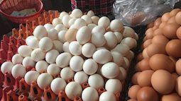 Cách phân biệt trứng gà thật với trứng giả để đảm bảo sức khỏe cho cả gia đình