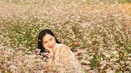 Cánh đồng tam giác mạch – điểm đến dã ngoại lý tưởng ngay tại Hà Nội