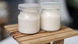 Sữa chua không đường – người bạn tốt cho hệ miễn dịch và tiêu hóa