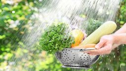 5 điều phải nhớ khi rửa rau để loại bỏ thuốc trừ sâu 