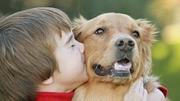 4 loại bệnh nguy hiểm chó cưng có thể truyền sang người