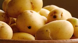 Muốn ăn kiêng thành công nên có kiến thức về … củ khoai tây
