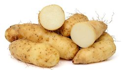 Tưởng là thứ củ rẻ tiền, chẳng ai ngờ đây là 