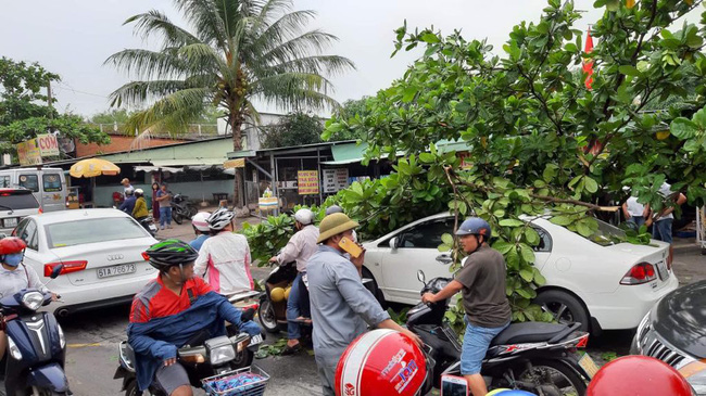 TP. HCM: Bé sơ sinh may mắn thoát chết vì được mẹ ôm chặt lao ra khỏi chiếc xe bị cành cây đè trúng  - Ảnh 1.