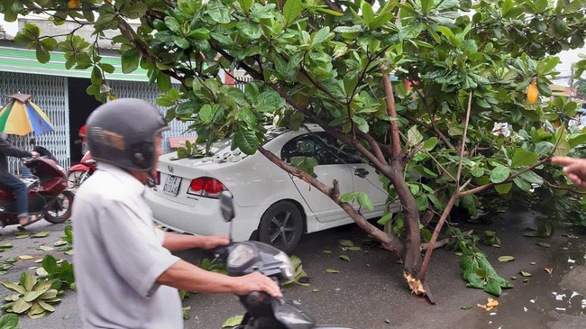 TP. HCM: Bé sơ sinh may mắn thoát chết vì được mẹ ôm chặt lao ra khỏi chiếc xe bị cành cây đè trúng  - Ảnh 3.