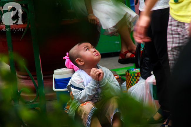 Thảo Cầm Viên vỡ trận, trẻ nhỏ gào khóc, ngồi gặm bánh mì chen chúc nhau giữa trời nắng 40 độ - Ảnh 17.