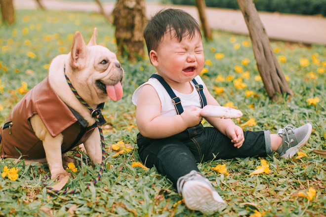 Cậu nhóc khóc ré ăn vạ khi phải chụp ảnh bên bạn chó: Dễ thương quá mức quy định rồi nhé! - Ảnh 7.