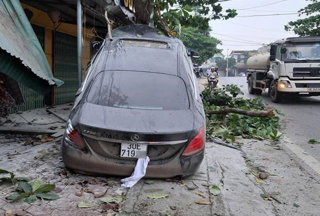 Ô tô Mercedes mất lái ‘trèo’ lên cây bàng, người dân giải cứu tài xế đưa đi cấp cứu - Ảnh 1.