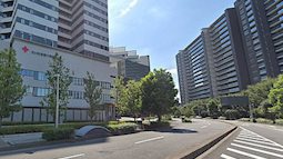 Bệnh viện Nhật Bản chính thức lên tiếng vụ bé sinh non 14 tuần tuổi bị xả xuống bồn cầu, lời giải thích đưa ra là do nhầm lẫn