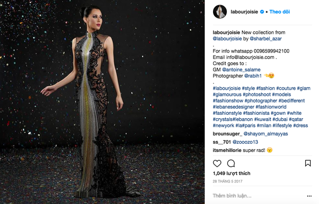 Vũ Ngọc Anh và NTK Lê Thanh Hòa bị nhà mốt cao cấp của Pháp bêu ngay trên Instagram vì nhái đồ - Ảnh 8.