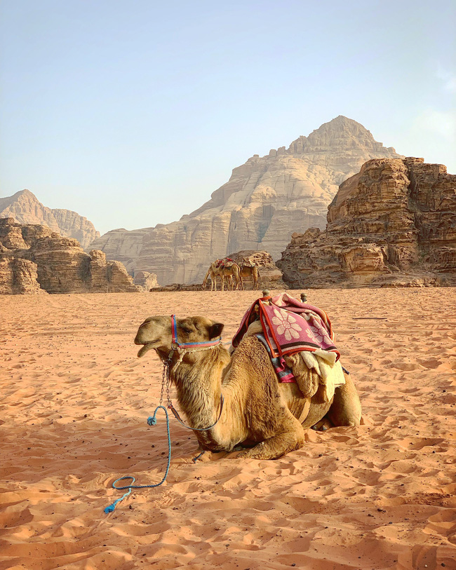 Mẹ 1 con xinh đẹp chi hàng trăm triệu đến Jordan đọc sách giữa Biển Chết, cưỡi lạc đà sa mạc - Ảnh 1.