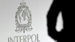 Interpol triệt phá mạng lưới ấu dâm trực tuyến, giải cứu 50 trẻ em