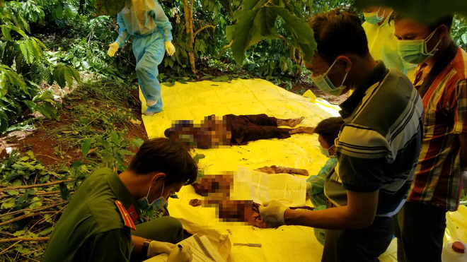 Cận cảnh khám nghiệm hiện trường vụ 3 bà cháu bị giết rúng động ở Lâm Đồng - Ảnh 5.