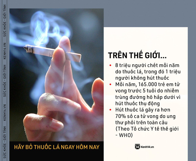 Ngày Thế giới Không Thuốc lá: những con số kinh hoàng cho thấy tác hại của thuốc lá ngày càng nghiêm trọng - Ảnh 1.