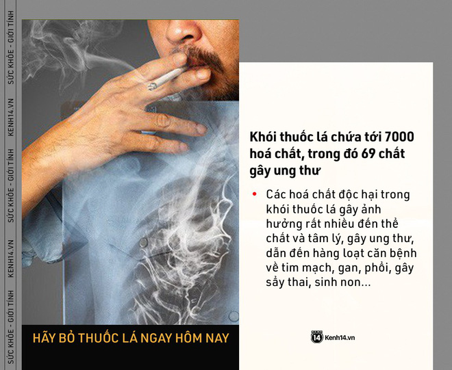 Ngày Thế giới Không Thuốc lá: những con số kinh hoàng cho thấy tác hại của thuốc lá ngày càng nghiêm trọng - Ảnh 3.