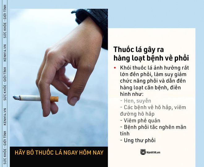 Ngày Thế giới Không Thuốc lá: những con số kinh hoàng cho thấy tác hại của thuốc lá ngày càng nghiêm trọng - Ảnh 4.