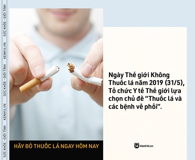 Ngày Thế giới Không Thuốc lá: những con số kinh hoàng cho thấy tác hại của thuốc lá ngày càng nghiêm trọng - Ảnh 5.