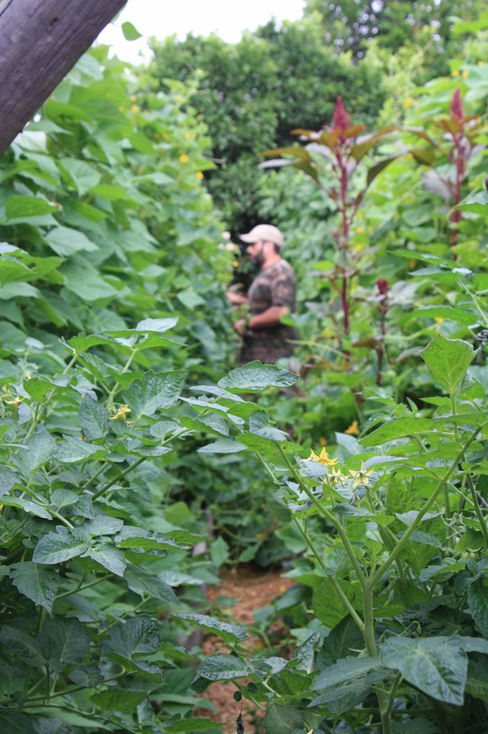 Gia đình nhiều thế hệ chung sống hạnh phúc bên ngôi nhà yên bình cùng mảnh vườn trồng rau quả sạch rộng 4000m2 - Ảnh 5.