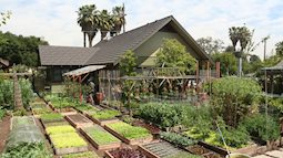 Gia đình nhiều thế hệ chung sống hạnh phúc bên ngôi nhà yên bình cùng mảnh vườn trồng rau quả sạch rộng 4000m²