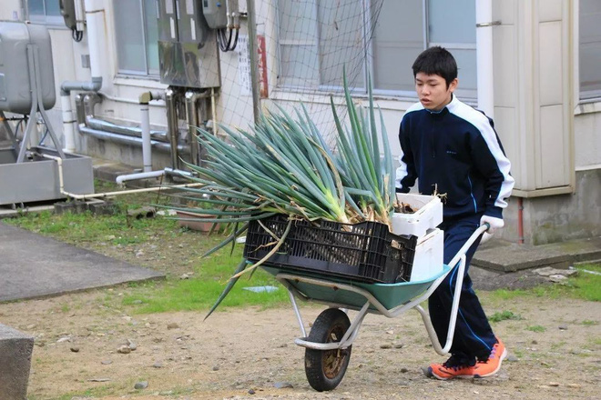 Nam sinh cô đơn nhất Nhật Bản: Học một mình một trường, được giáo viên - hiệu trưởng thay nhau chăm sóc - Ảnh 5.