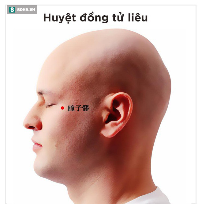 Bài bấm huyệt thông 7 lỗ làm khỏe nội tạng nổi tiếng Đông y: 5 phút để khỏe mạnh ít bệnh - Ảnh 6.