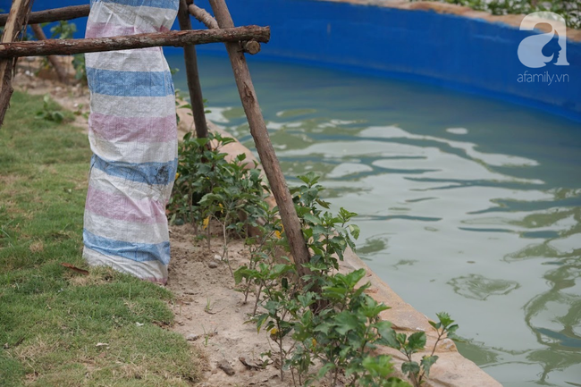 Mới mở cửa khai trương hơn 1 ngày, công viên nước Thanh Hà đã đục ngầu như ao, rác nổi khắp bể bơi - Ảnh 8.