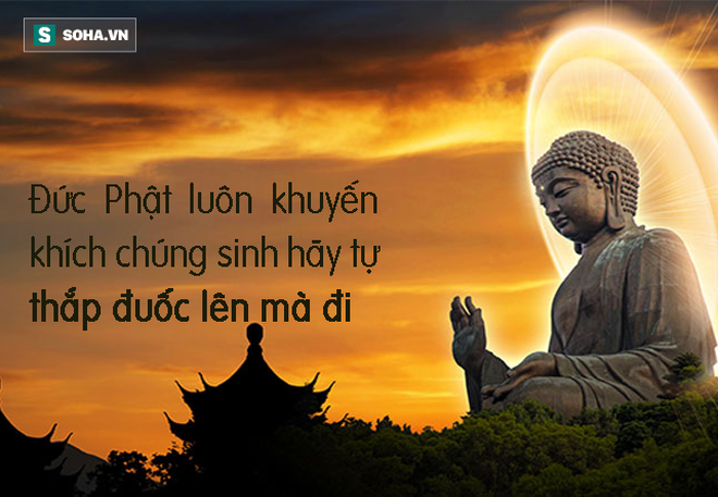 Chuyện Độ ta không độ nàng, Trụ trì Chùa Hương: Chỉ có tiêu tiền hình như là người đời chưa nhờ ai tiêu hộ! - Ảnh 8.