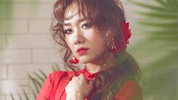 Trấn Thành nói chuyện với "trai lạ" đến 5h sáng nhưng phản ứng của Hari Won thì cực đỉnh