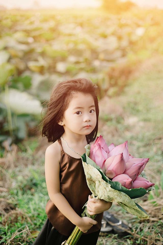 Bé gái Bắc Ninh xinh như thiên thần bên hoa sen - 2