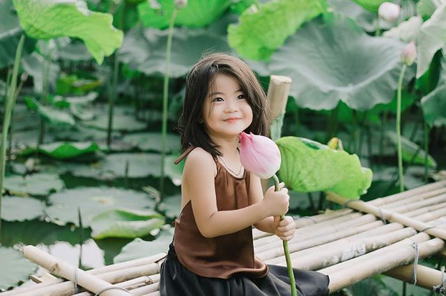 Bé gái Bắc Ninh xinh như thiên thần bên hoa sen - 4