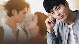 'Mỹ nam vạn người mê' Park Bo Gum: 'Kẻ thứ 3' trong loạt tin đồn chen chân vào cuộc hôn nhân của Song Hye Kyo - Song Joong Ki