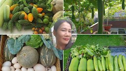 Sở hữu sân thượng rộng đến 200m², mẹ đảm ở Sài Gòn khiến nhiều người bất ngờ với 'trang trại' rau quả tự trồng