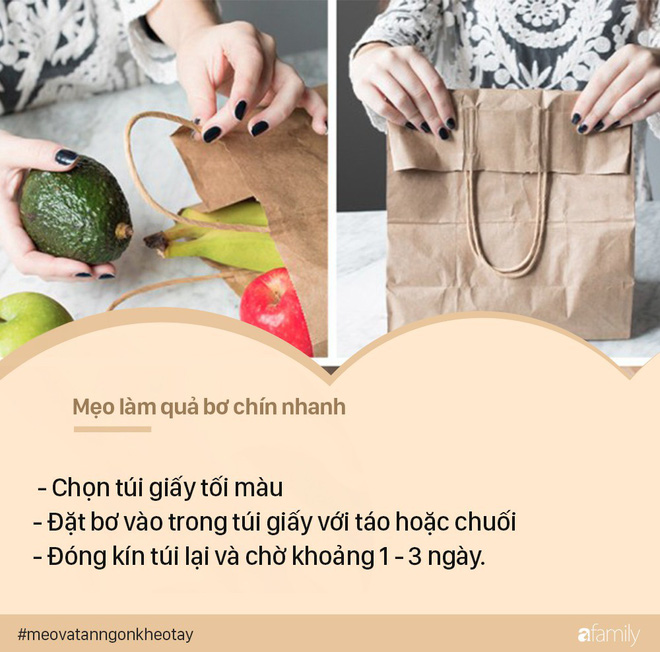 Các mẹ biết chưa: Có tới 3 cách để làm trái bơ nhanh chín, không đắng mà không dùng hóa chất đấy! - Ảnh 3.