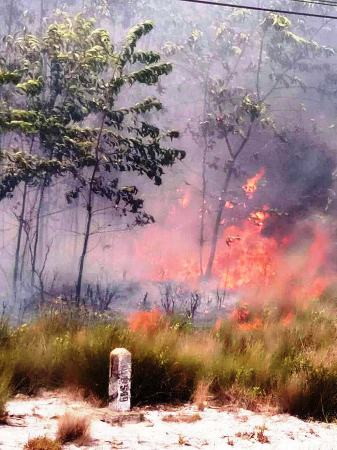 Lại cháy rừng dữ dội tại TT-Huế, biển lửa trùm lên 20ha cây lâm nghiệp tái sinh - Ảnh 4.