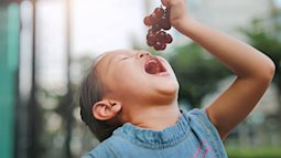 Không phải cứ cho con ăn trái cây là tốt, đây mới là cách cho trẻ ăn lành mạnh