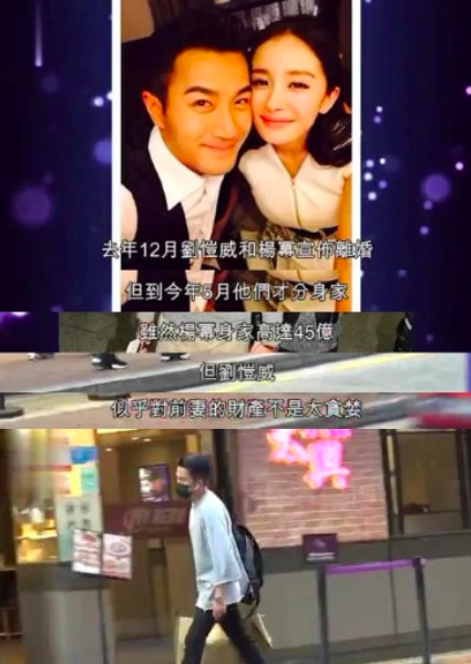 Phân chia tài sản sau ly hôn, netizen mới ngã ngửa hóa ra Dương Mịch sở hữu khối tài sản siêu to khổng lồ - Ảnh 2.
