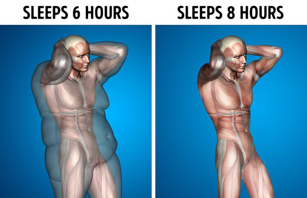 Giả sử mỗi ngày bạn được ngủ 8 tiếng, đây là những gì sẽ xảy ra - Ảnh 2.