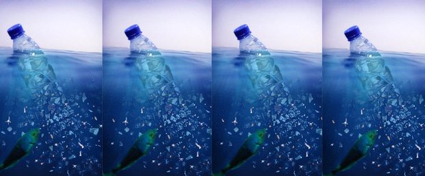 WHO: 90% nước đóng chai có hạt vi nhựa bên trong, và đây là câu trả lời cho việc chúng có hại hay không - Ảnh 3.