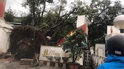 Xót xa cảnh người thân gào khóc thảm thiết tại hiện trường nam thanh niên tử vong vì cây đổ ở Hà Nội