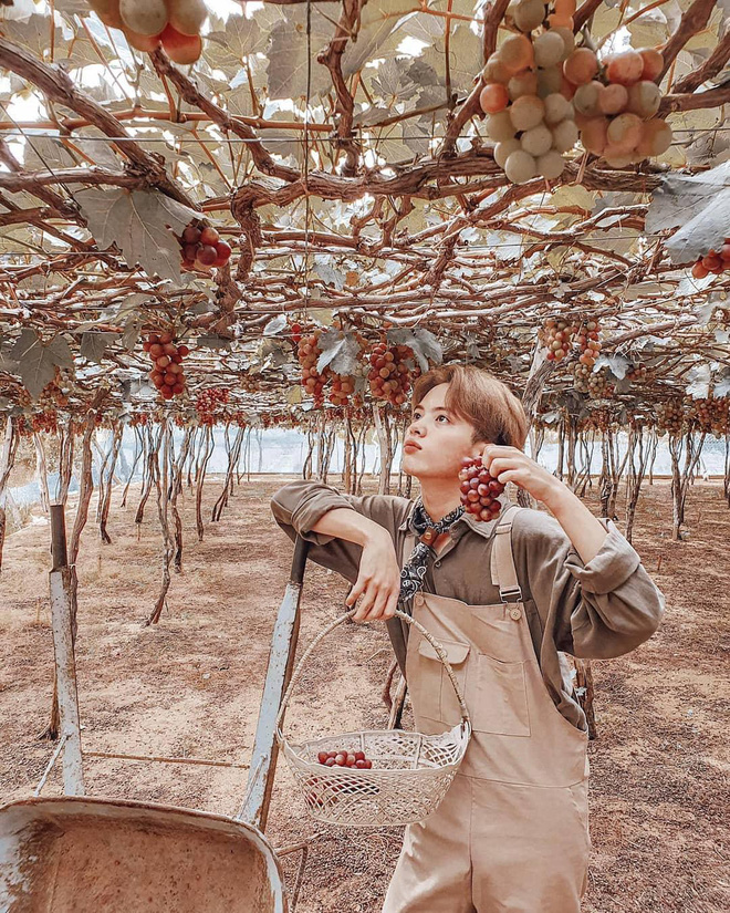 Tháng 9 đổi gió “săn nho” tại 2 khu vườn nổi tiếng nhất Ninh Thuận để lúc đi có hình sống ảo, lúc về có nho ăn! - Ảnh 13.