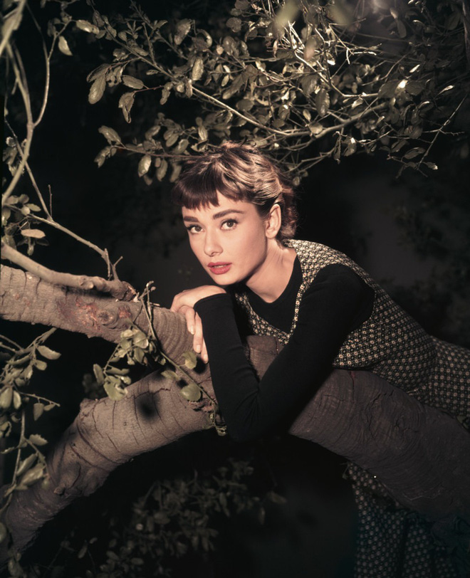 Hot trở lại 10 mỹ nhân Hollywood đẹp nhất thập niên 50: Toàn huyền thoại mọi thời đại, nữ thần thời nay sao đọ lại? - Ảnh 1.