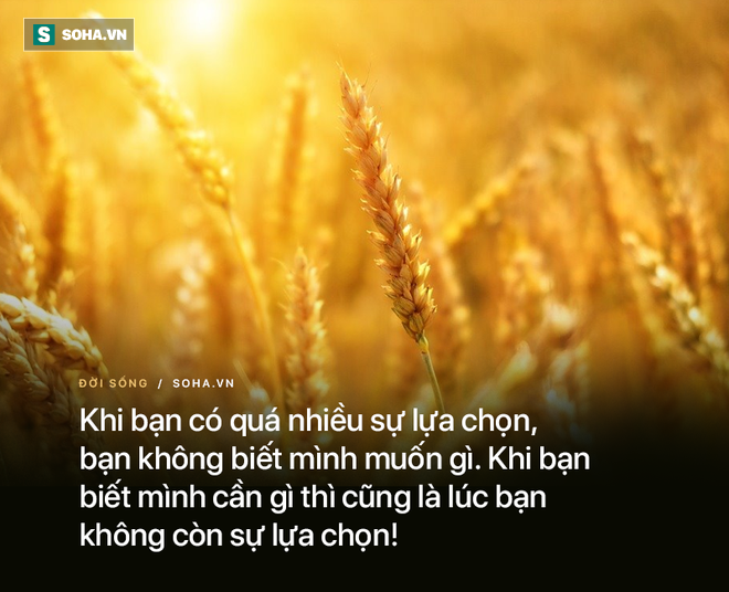 Nhịn đói đi làm vì nhà hết gạo, khi trở về, mẩu giấy trên bàn ăn khiến người vợ phát khóc - Ảnh 1.