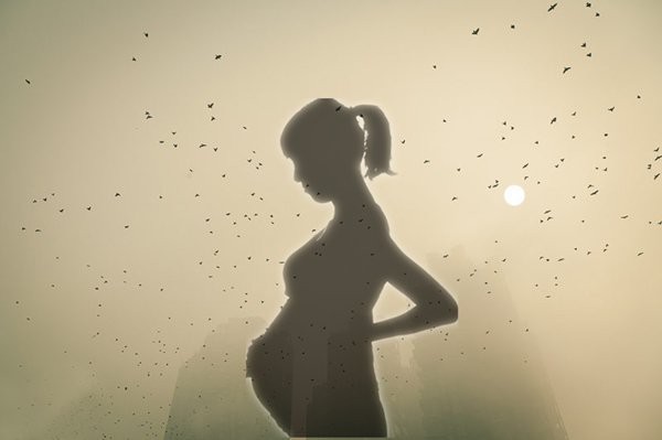 Hạt carbon đen đi xuyên qua nhau thai: Bằng chứng cho thấy ô nhiễm không khí ảnh hưởng trực tiếp tới thai nhi trong bụng mẹ - Ảnh 1.