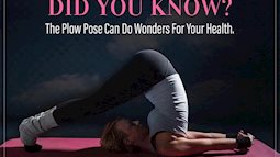 Bạn có biết: 10 tư thế yoga đơn giản sau đây đều có tác dụng rất tốt cho sức khoẻ và tinh thần